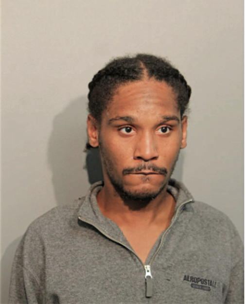 TYRONE L STRICKLAND, Cook County, Illinois