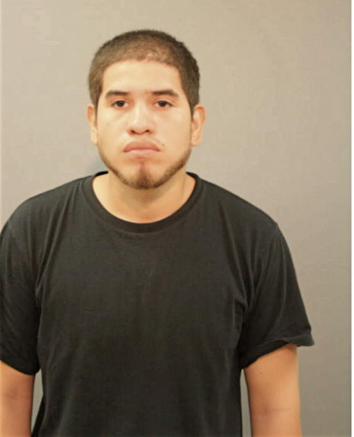 LUISMAR TAPIA, Cook County, Illinois