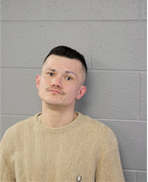 JOSEPH N YOUNG, Cook County, Illinois