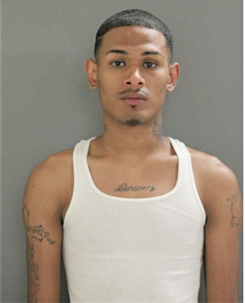 WILLIAM B ANDERSON, Cook County, Illinois