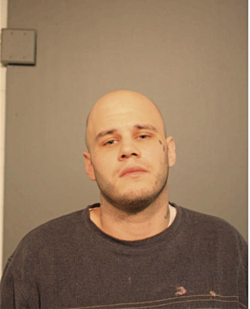 DANIEL B ANDREWS, Cook County, Illinois