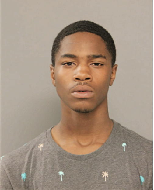 MATTHEW J BATES, Cook County, Illinois