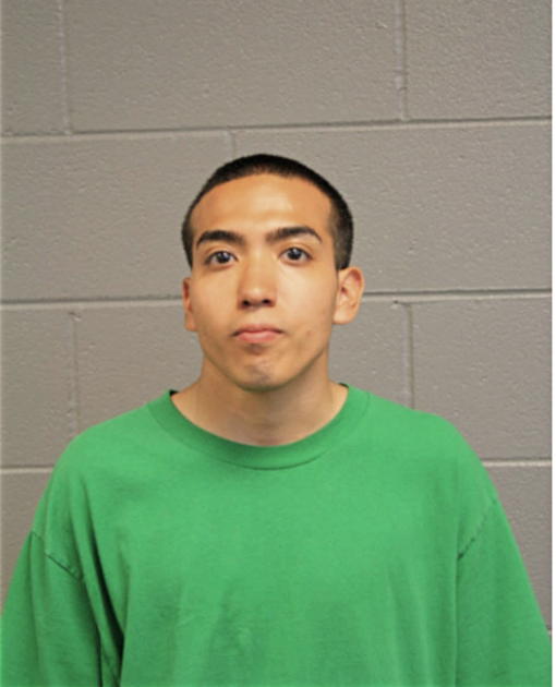 DANTE CALDERON, Cook County, Illinois