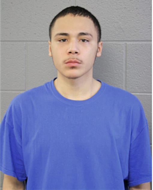 MARIO M CALIXTO, Cook County, Illinois