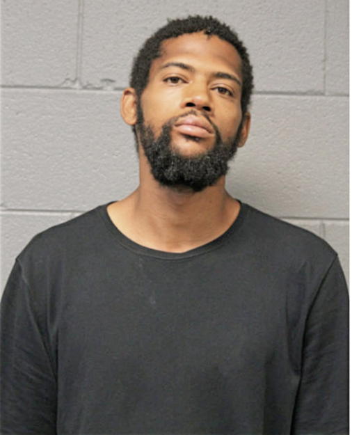 MICHAEL L CALLOWAY, Cook County, Illinois