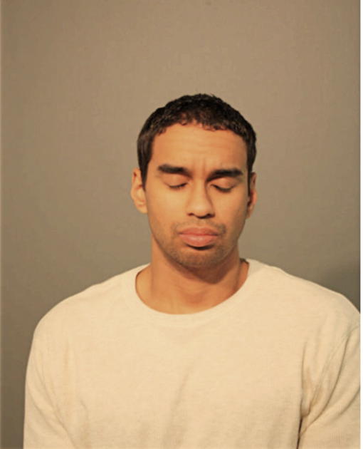 CHRISTOPHER J CAMACHO, Cook County, Illinois