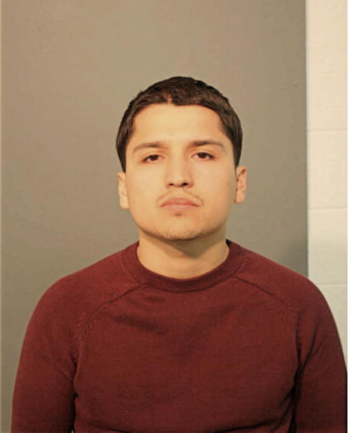 VICTOR D CERDA, Cook County, Illinois
