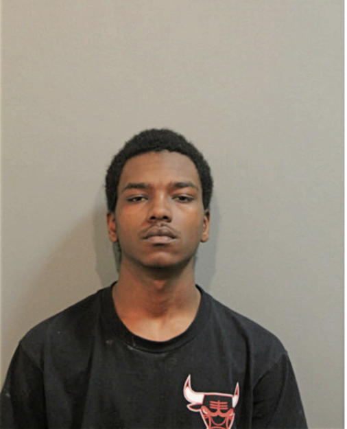 ANTWAUN G DAVIS, Cook County, Illinois