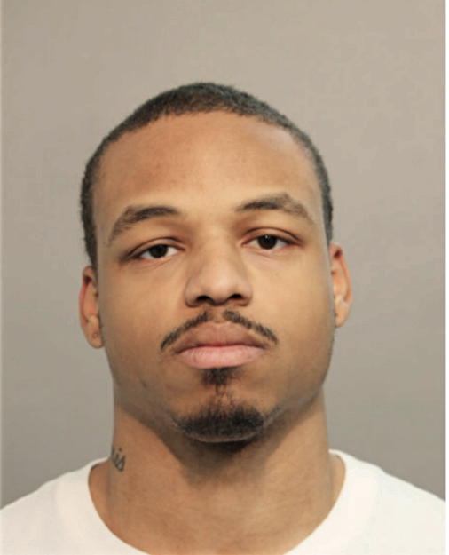 ERIK L GALLOWAY, Cook County, Illinois