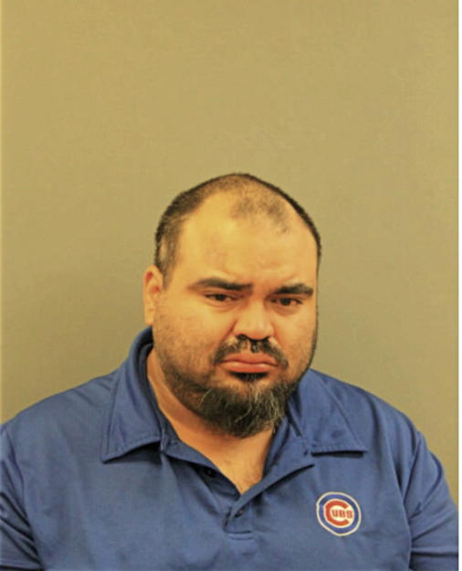 LUIS J GARCIA, Cook County, Illinois