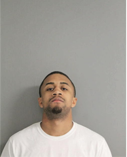 ALLAN S GREEN, Cook County, Illinois