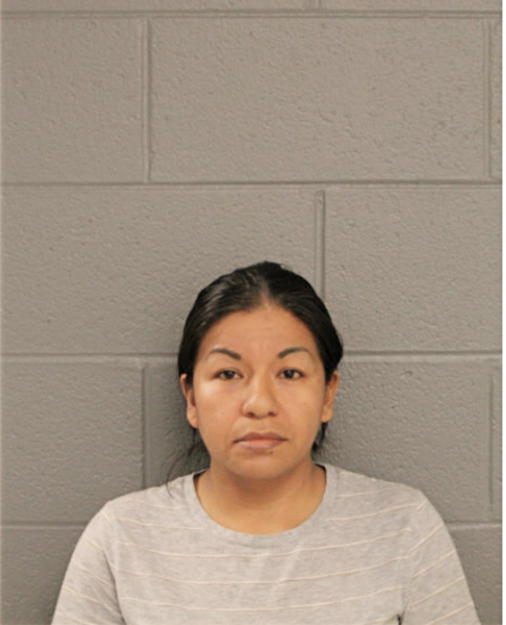 DIANA GUZMAN, Cook County, Illinois