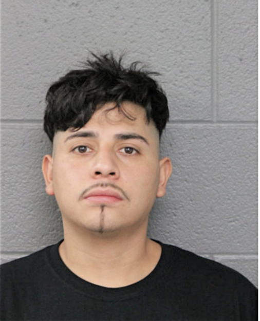MISAEL GUZMAN, Cook County, Illinois