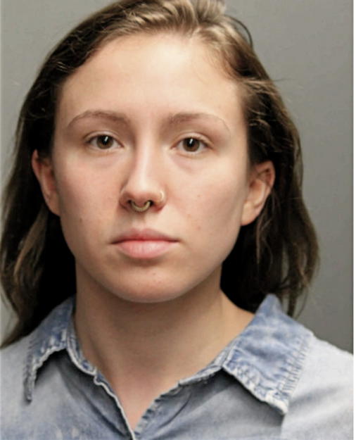 ALLISON S HARTJE, Cook County, Illinois