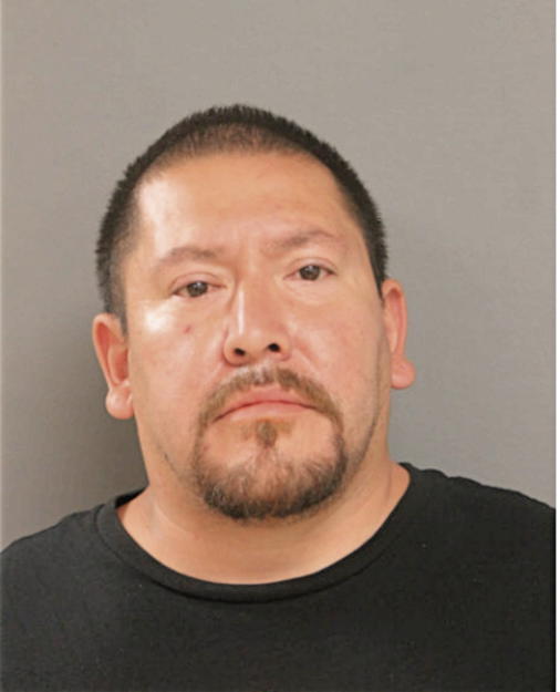 DAVID I TORRES, Cook County, Illinois
