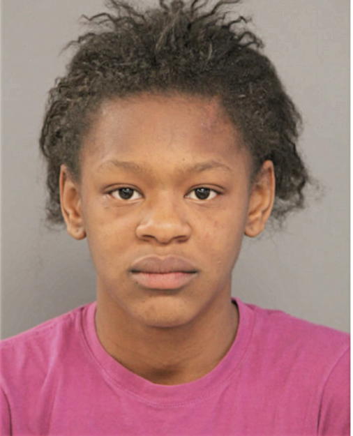 AALIYAH L JACKSON, Cook County, Illinois