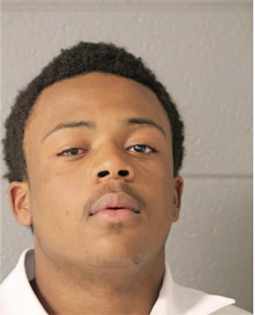 SEAN L KING, Cook County, Illinois