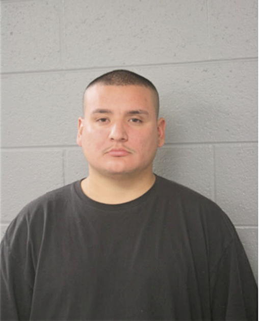 SERGIO LARA, Cook County, Illinois
