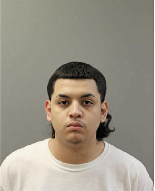 VICTOR N ORTIZ, Cook County, Illinois