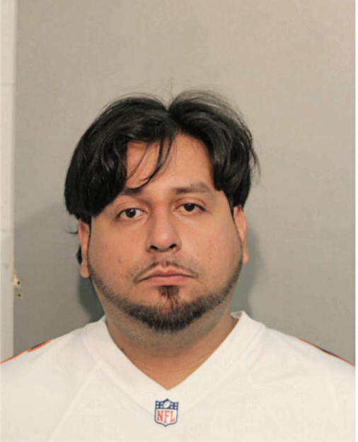 JOSE L PATINO, Cook County, Illinois