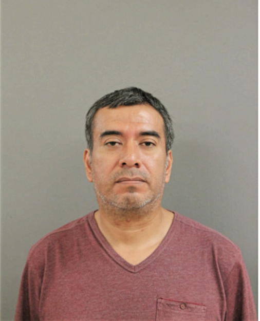 DOMINGO RAMIREZ, Cook County, Illinois