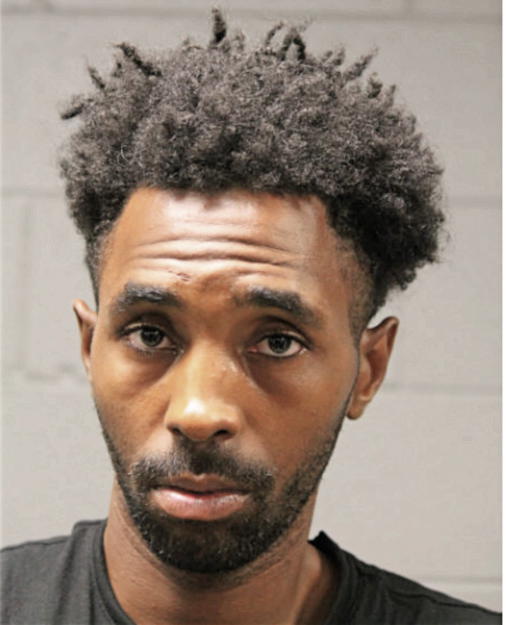 KENTRELL L RAY, Cook County, Illinois