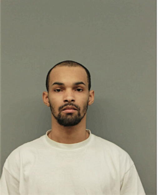 JAMES D ROBINSON, Cook County, Illinois