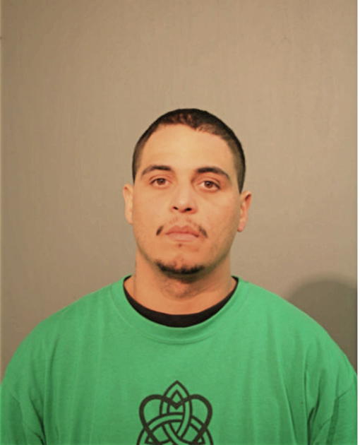 FELIX L VEGA, Cook County, Illinois