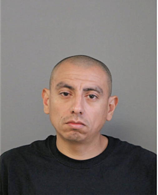 GERARDO C ZUNIGA, Cook County, Illinois