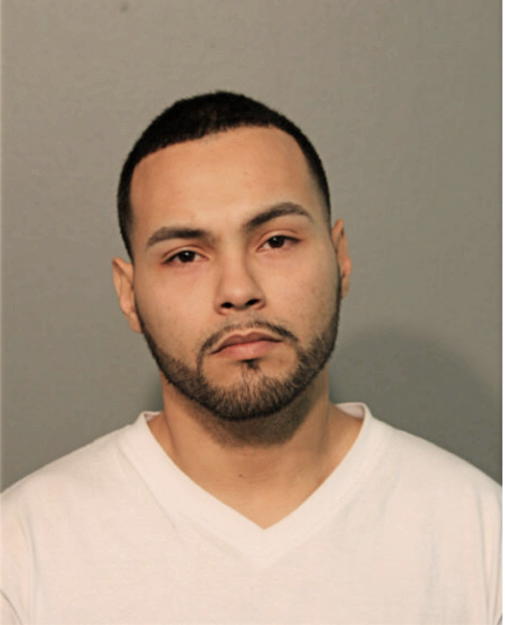 JOSUE E AGUDO, Cook County, Illinois