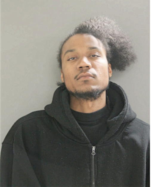 JARED O ALLEN, Cook County, Illinois