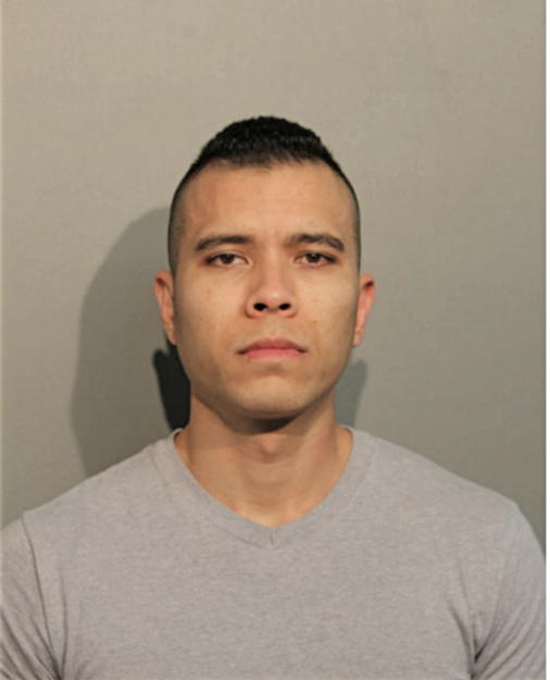 RANDY MCKENDALL AVILA, Cook County, Illinois
