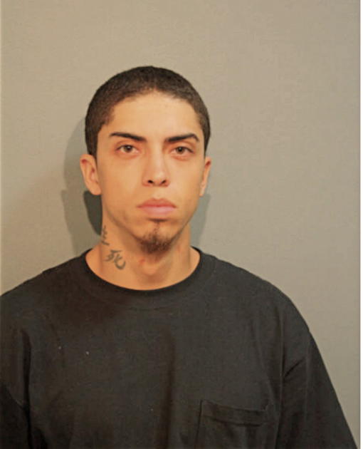 MICHAEL BRAVO, Cook County, Illinois