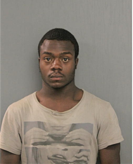 NATHANIEL E BROWN, Cook County, Illinois