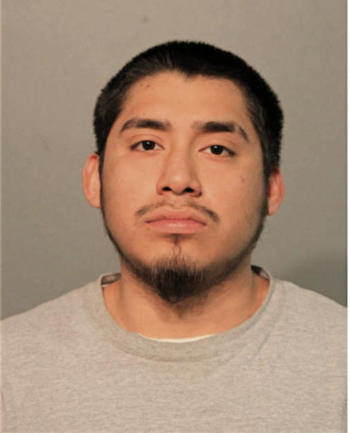 VICENTE BUENO, Cook County, Illinois