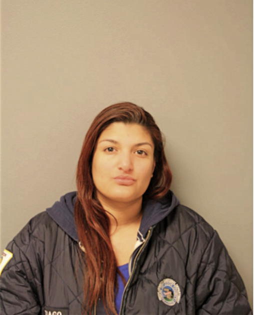 VANESSA CASTELLANOS, Cook County, Illinois