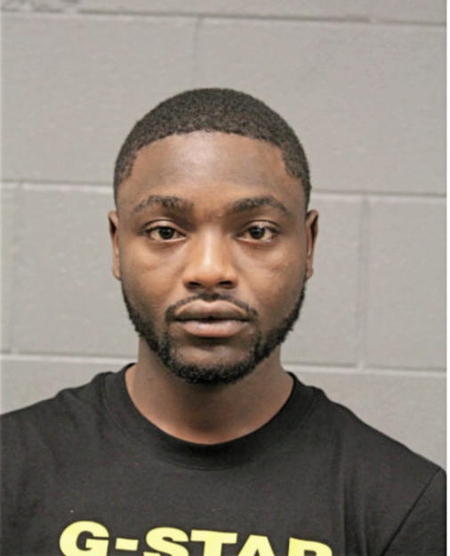 CHRISTOPHER N ELLIS, Cook County, Illinois