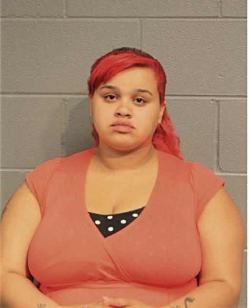 ELSA V FELICIANO, Cook County, Illinois