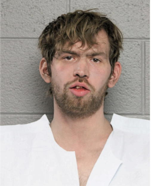 ROBERT FLORA, Cook County, Illinois