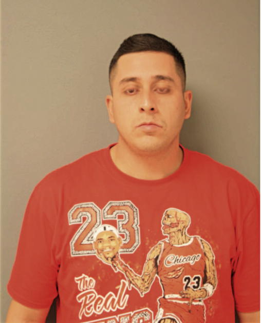 LUCIANO F HERNANDEZ, Cook County, Illinois