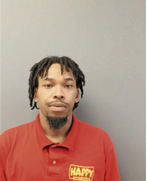 MICHAEL T HODGES, Cook County, Illinois