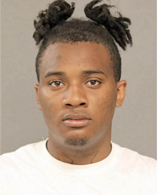 STEFAN M HOLLINS, Cook County, Illinois