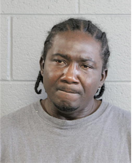 JAMMIE L KING, Cook County, Illinois