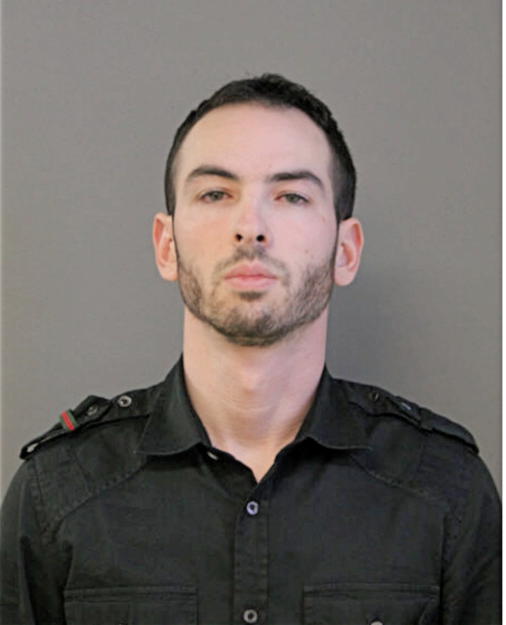 BRIAN M LEWIS, Cook County, Illinois