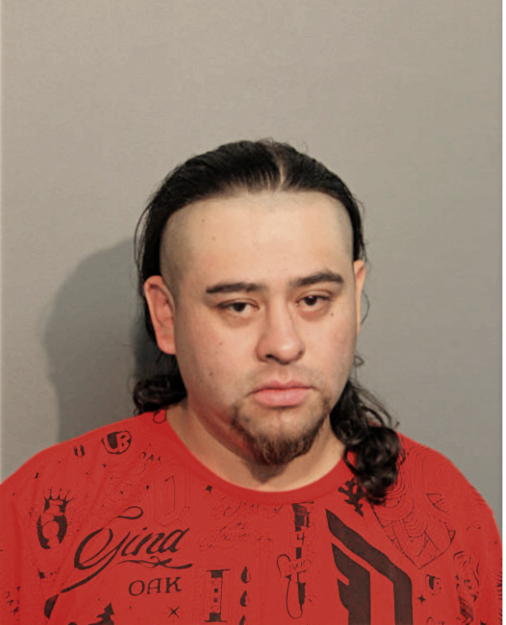 YOAN MANDUJANO, Cook County, Illinois