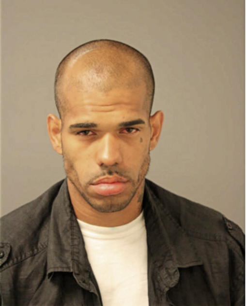 LUIS J MARTINEZ, Cook County, Illinois