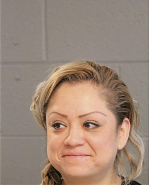 DALIA R MARTINEZ-REYES, Cook County, Illinois