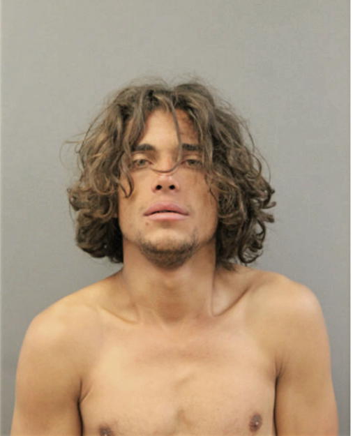 JESUS J MENDEZ-SANCHEZ, Cook County, Illinois