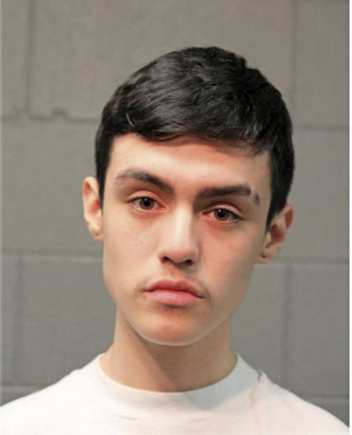 ALEJANDRO MENDOZA, Cook County, Illinois