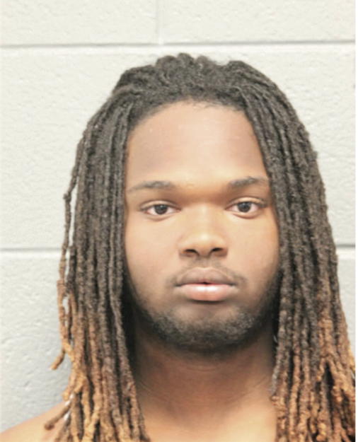 TYRIN T NORRIS, Cook County, Illinois